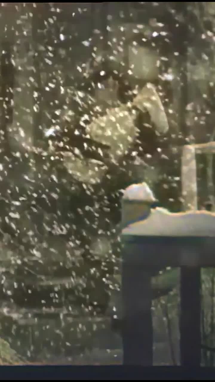 Эпизод 37